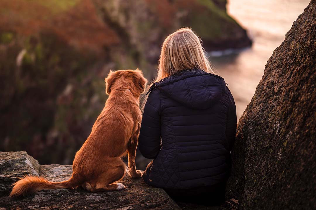 A human and a dog overlooking the beach