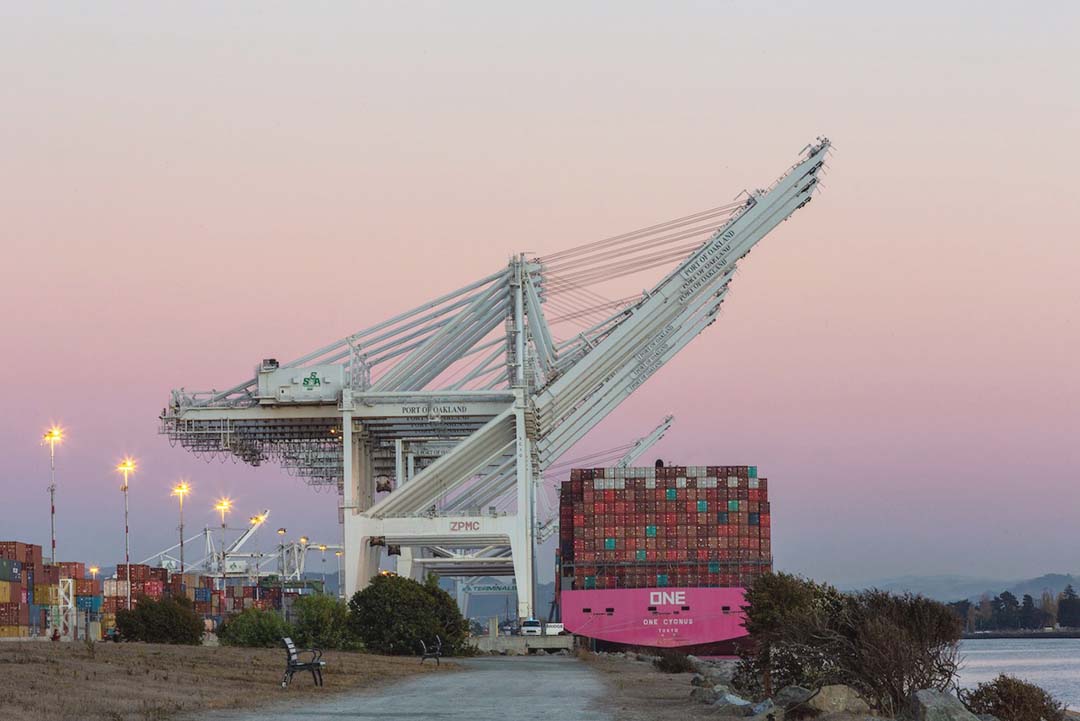 Cranes at a harbor port
