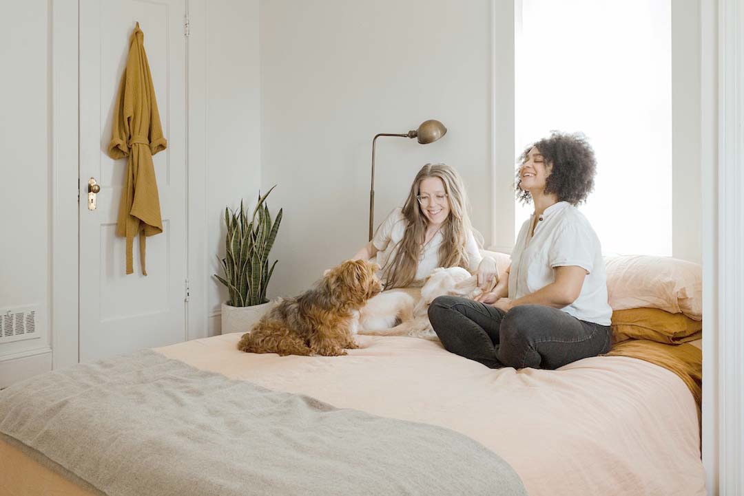Two people and a dog in bed