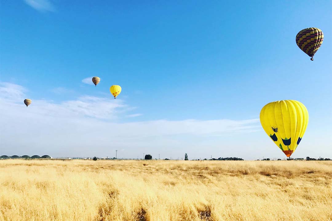 Hot air balloons flying over a field